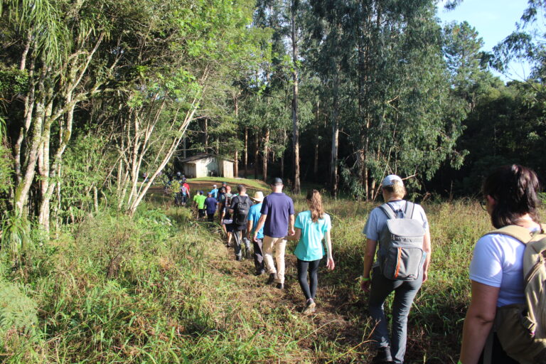 Caminhada Re Ne P Blico Expressivo Em Agudos Do Sul Jornal O Regional