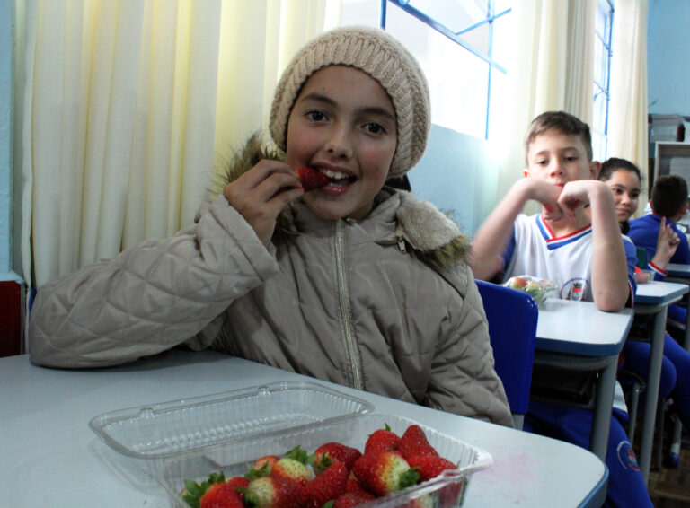 Estudantes de Piên receberam morangos para reforçar a alimentação saudável. Foto: Arquivo/O Regional