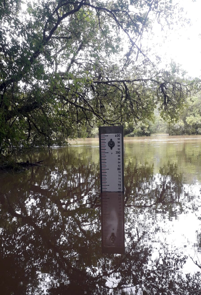 Defesa Civil de Piên está monitorando o nível do rio Negro. Foto: Divulgação/Defesa Civil de Piên