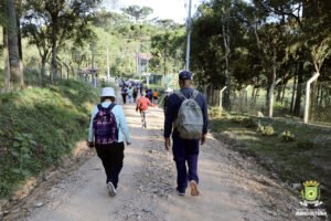 Caminhadas em Mandirituba atraem centenas de pessoas. Foto: Assessoria de Imprensa/Prefeitura de Mandirituba