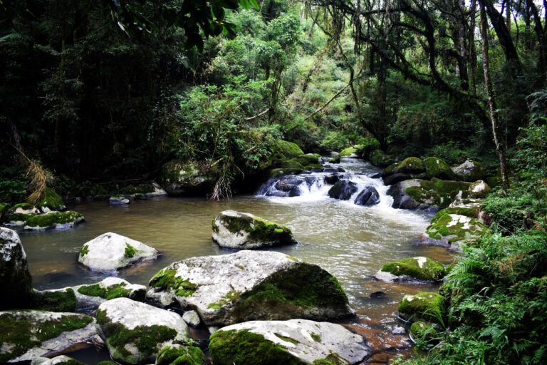 Belas paisagens estão no percurso da caminhada. Foto: Arquivo/O Regional