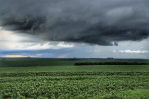 Chuva deve ser intensa na próxima semana. Foto: José Fernando Ogura/AEN