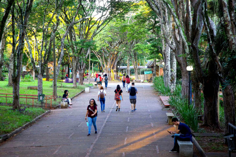 Ensino superior do Paraná está entre os mais bem posicionados no Conceito Preliminar de Curso e no Índice Geral de Cursos, referentes a 2021. Foto: Jaelson Lucas/Arquivo/AEN