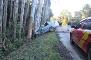 Veículo colidiu contra árvores às margens da PR-281, em Piên. Foto: Arquivo/O Regional
