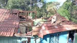 Casa ficou destruída após queda de pinheiro. Foto: Assessoria de Imprensa/Prefeitura de Piên
