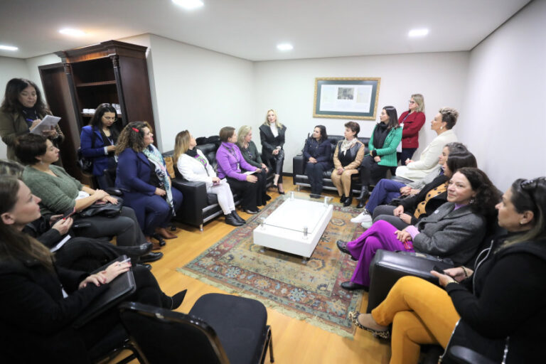 Reunião abordou assuntos relacionados a representatividade da mulher na política. Foto: Orlando Kissner/Alep