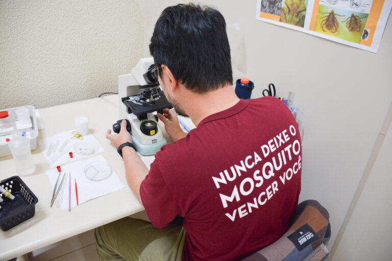 Município realizou levantamentos sobre mosquito transmissor da dengue. Foto: Assessoria de Imprensa/Prefeitura de Pinhais