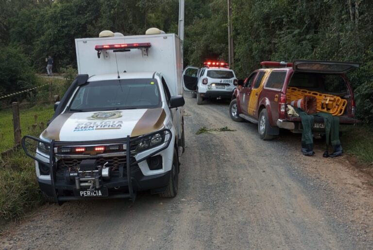 Órgãos atendem ocorrência do corpo em Piên. Foto: Divulgação/Bombeiros