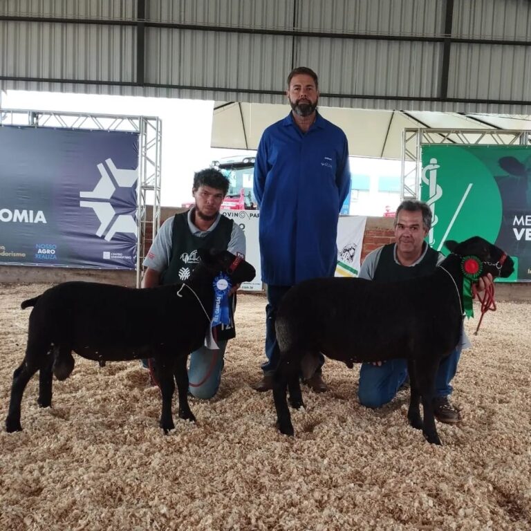 Animais da Cabanha Quitandinha se destacaram no Show Rural. Foto: Divulgação