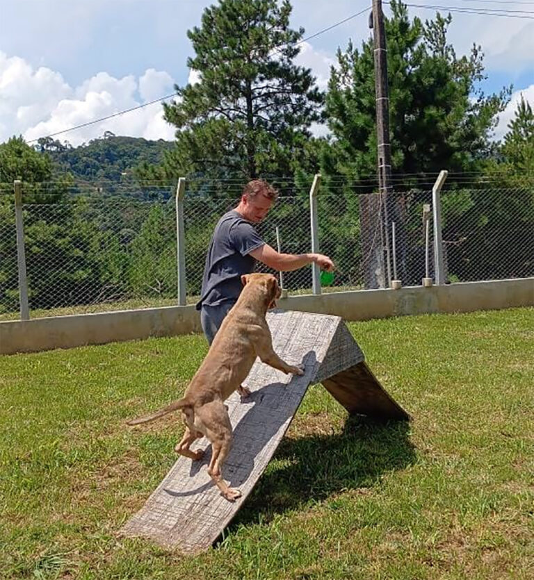 Mia, de Piên, realiza trabalhos de proteção e bem-estar animal. Foto: Divulgação