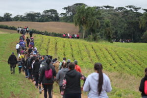 Caminhada na Natureza - Circuito Lageado em Piên. Foto: O Regional