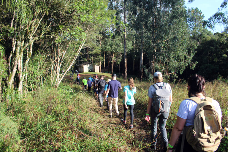 Caminhadas na Natureza têm se destacado anualmente em toda a região. Foto: Arquivo/O Regional