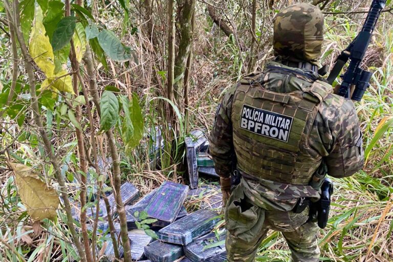 Combate ao tráfico apreensões de maconha e cocaína crescem no Paraná no 1º semestre. Foto: SESP-PR