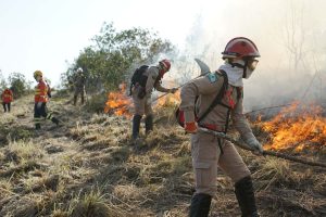 Incêndios estiveram entre as ocorrências atendidas pelos bombeiros paranaenses. Foto: CBMPR