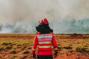 Mais de 9,3 mil ocorrências de incêndios foram atendidas pelo Corpo de Bombeiros. Foto: CBMPR