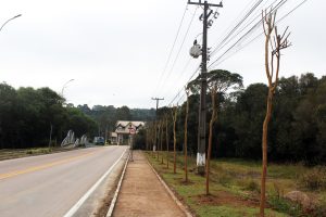 Projeto para plantio de árvores e obras de calçamento é realizado em Piên. Foto: Arquivo/O Regional