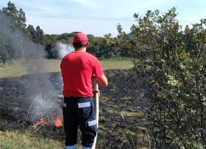 Equipes do Corpo de Bombeiros têm atuado no combate a incêndios em vegetação. Foto: Arquivo/O Regional