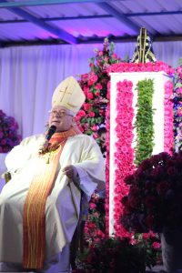 Missa da Romaria de Nossa Senhora Aparecida foi presidida por Dom Celso. Foto: O Regional