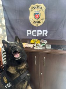 Um cão farejador da PCPR auxiliou nos trabalhos. Foto: PCPR