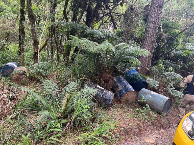 Tonéis foram encontrados na área rural de Agudos do Sul. Foto: Portal Metropolitano