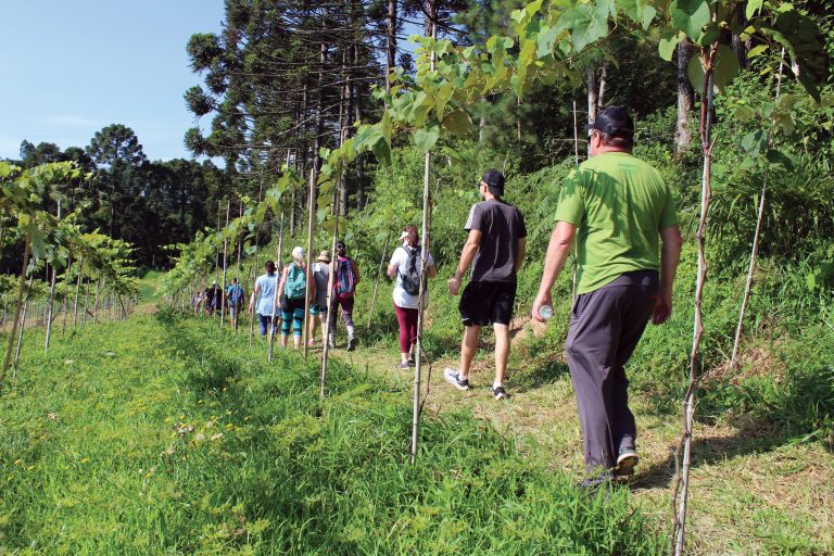 Caminhadas na região exploram os atrativos naturais. Foto: Arquivo/O Regional