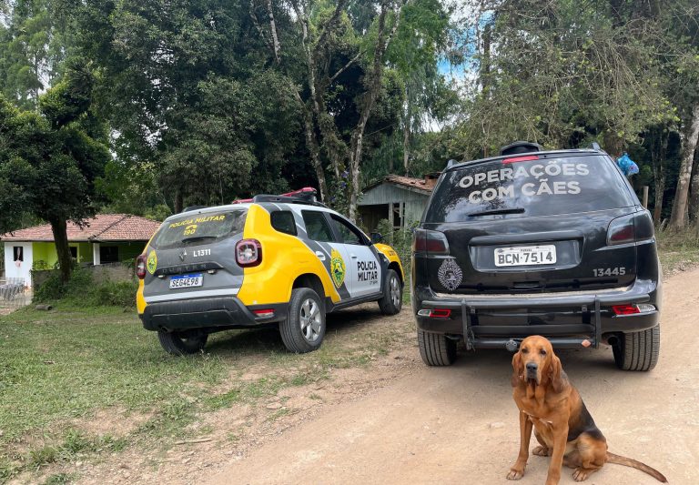 Equipes policiais, com apoio de cães farejadores, atuaram no caso. Foto: Colaboração/Portal Metropolitano