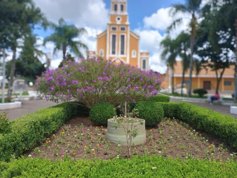 Plantio de flores está entre as ações na praça. Foto: Assessoria de Imprensa/Prefeitura de Mandirituba