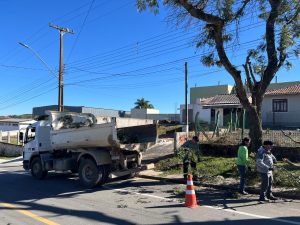 Podas de árvores foram realizadas próximas as redes elétricas. Foto: Divulgação