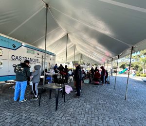 Animais foram castrados gratuitamente. Foto: Assessoria de Imprensa/Prefeitura de Agudos do Sul