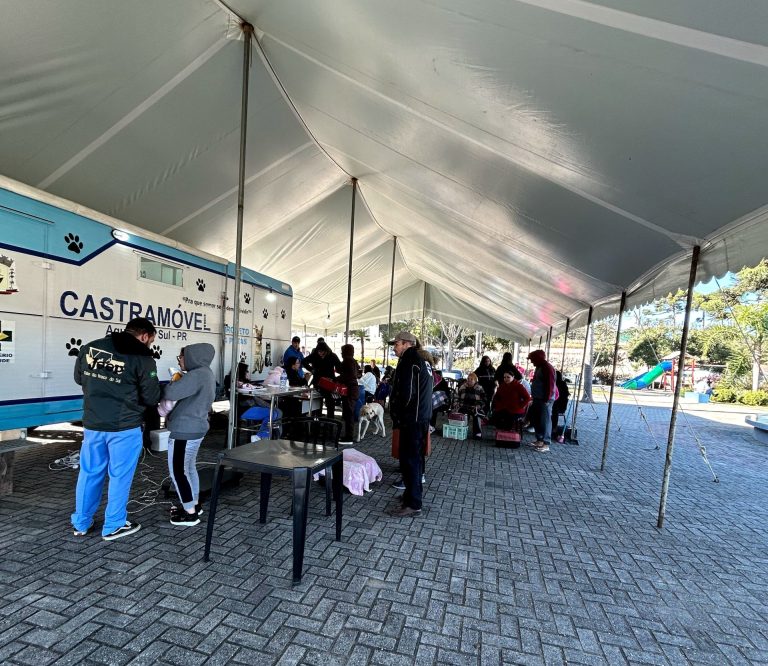 Animais foram castrados gratuitamente. Foto: Assessoria de Imprensa/Prefeitura de Agudos do Sul