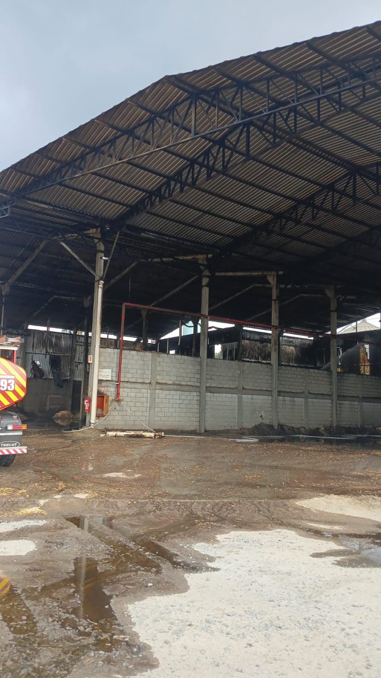 Incêndio em empresa em Piên foi atendido pelos Bombeiros. Foto: Divulgação/Bombeiros