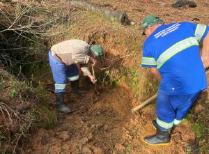 Recuperação das nascentes já foi iniciada. Foto: Assessoria de Impresa/Prefeitura de Contenda
