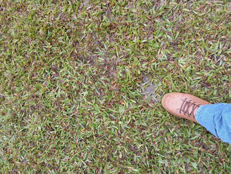 Gramados sem condições para a prática de esportes. Foto: Divulgação