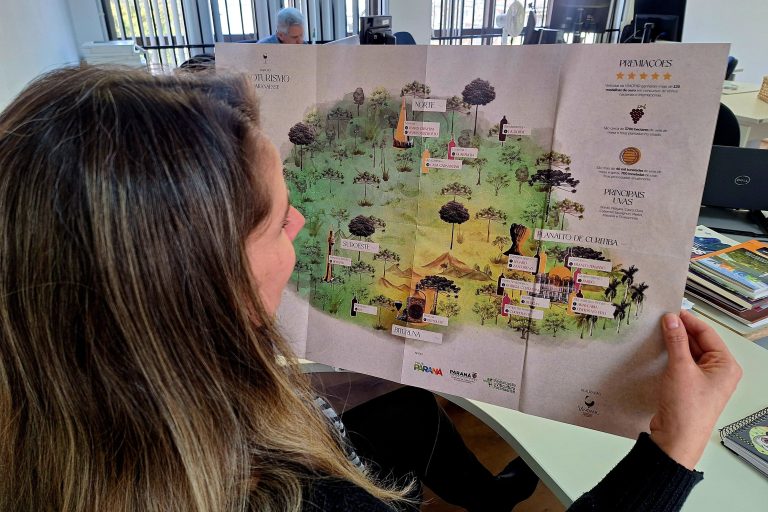 Mapa valoriza vinhos estaduais e visitas a produtores locais. Foto: Viaje Paraná