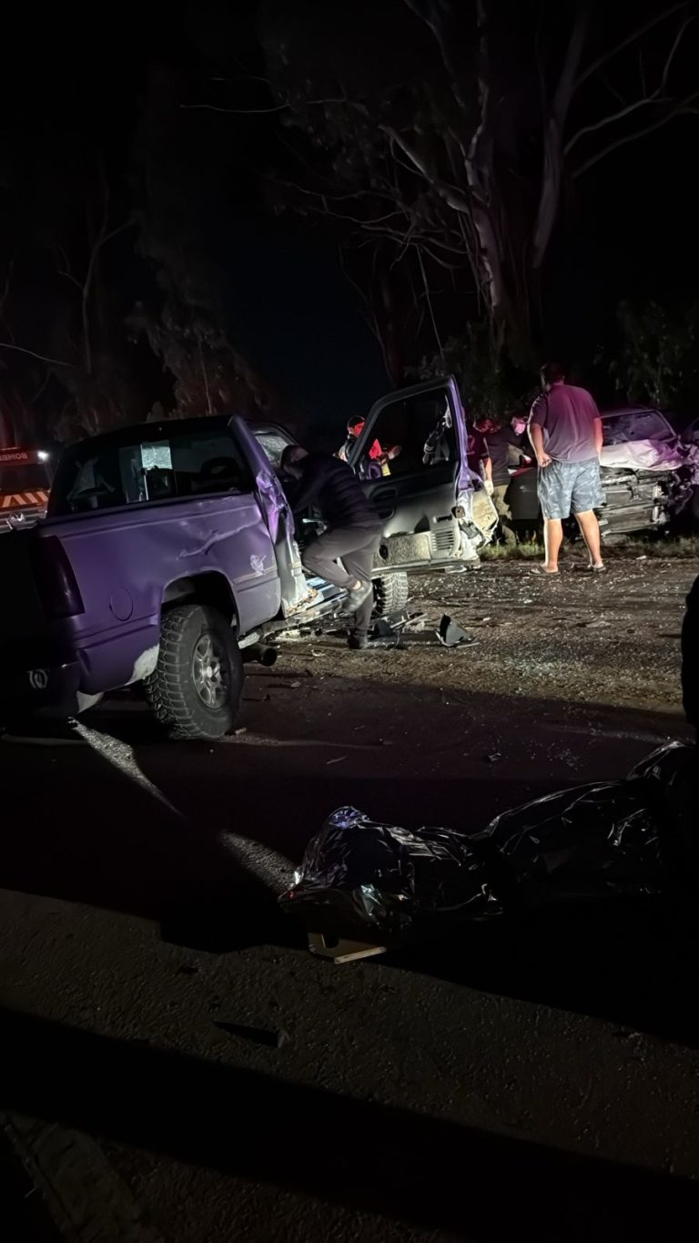 Acidente ocorrido na PR-419. Foto: Portal Metropolitano