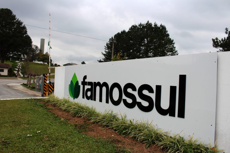 Empresa Famossul, localizada em Piên, tem grande destaque no mercado de portas e componentes. Foto: Arquivo/O Regional
