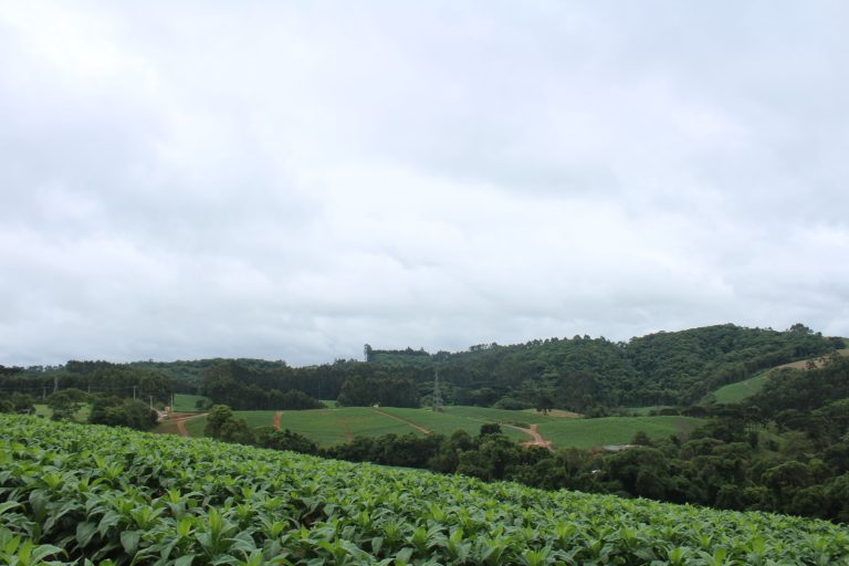 Proprietários de imóveis rurais devem ficar atentos ao prazo. Foto: Arquivo/O Regional