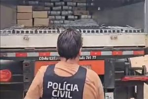 Polícia Civil recuperou carga de carnes. Foto: PCPR
