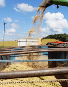 Produção agropecuária da região foi de R$ 3,5 bilhões. Foto: Arquivo/O Regional
