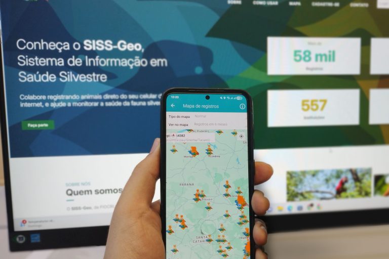 Inteligência georreferenciada mantém Paraná livre de casos locais de febre amarela. Foto: SESA