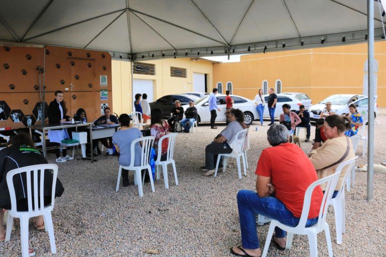 123 animais foram castrados nesta edição do programa. Foto: Assessoria de Imprensa/Prefeitura de Mandirituba