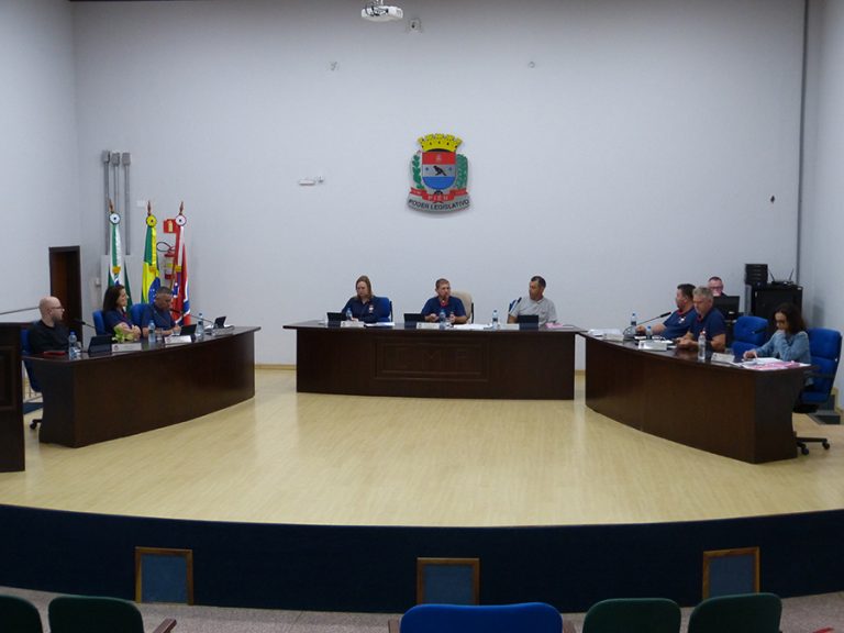 Câmara apresentou números das atividades legislativas do ano. Foto: O Regional