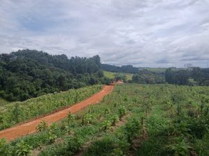 Estradas rurais estão recebendo melhorias. Foto: Assessoria de Imprensa/Prefeitura de Quitandinha
