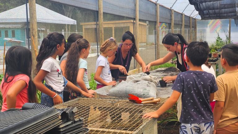 Alunos estão participando de atividades educativas e recreativas. Foto: Assessoria de Imprensa/Prefeitura de Quitandinha