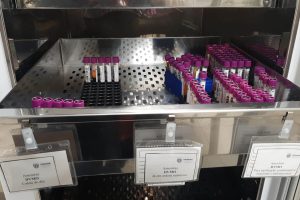 Fevereiro Laranja: Diagnóstico rápido é considerado essencial para o tratamento contra a doença. Foto: Sesa