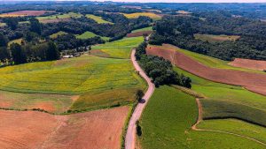 Prefeitura vai assinar ordem de serviço para execução da pavimentação. Foto: Assessoria de Imprensa/Prefeitura de Piên