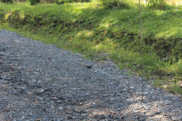 Fio se rompeu em uma estrada no bairro Avencal. Foto: Arquivo/O Regional
