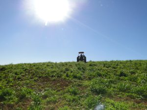 Programa prevê a regularização fundiária de propriedades. Foto: Arquivo/O Regional