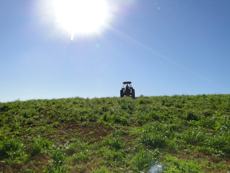 Programa prevê a regularização fundiária de propriedades. Foto: Arquivo/O Regional