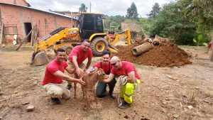 Bombeiros fizeram o resgate do terneiro na localidade de Boa Vista. Foto: Divulgação/Corpo de Bombeiros de Piên